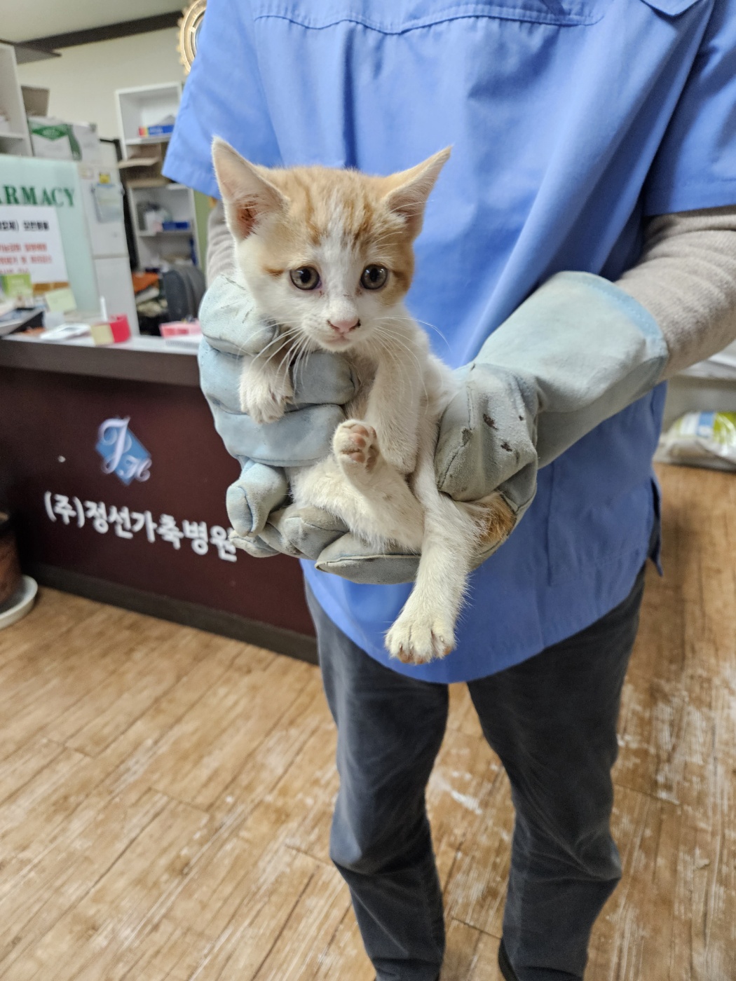 믹스묘 이미지 파일 입니다.